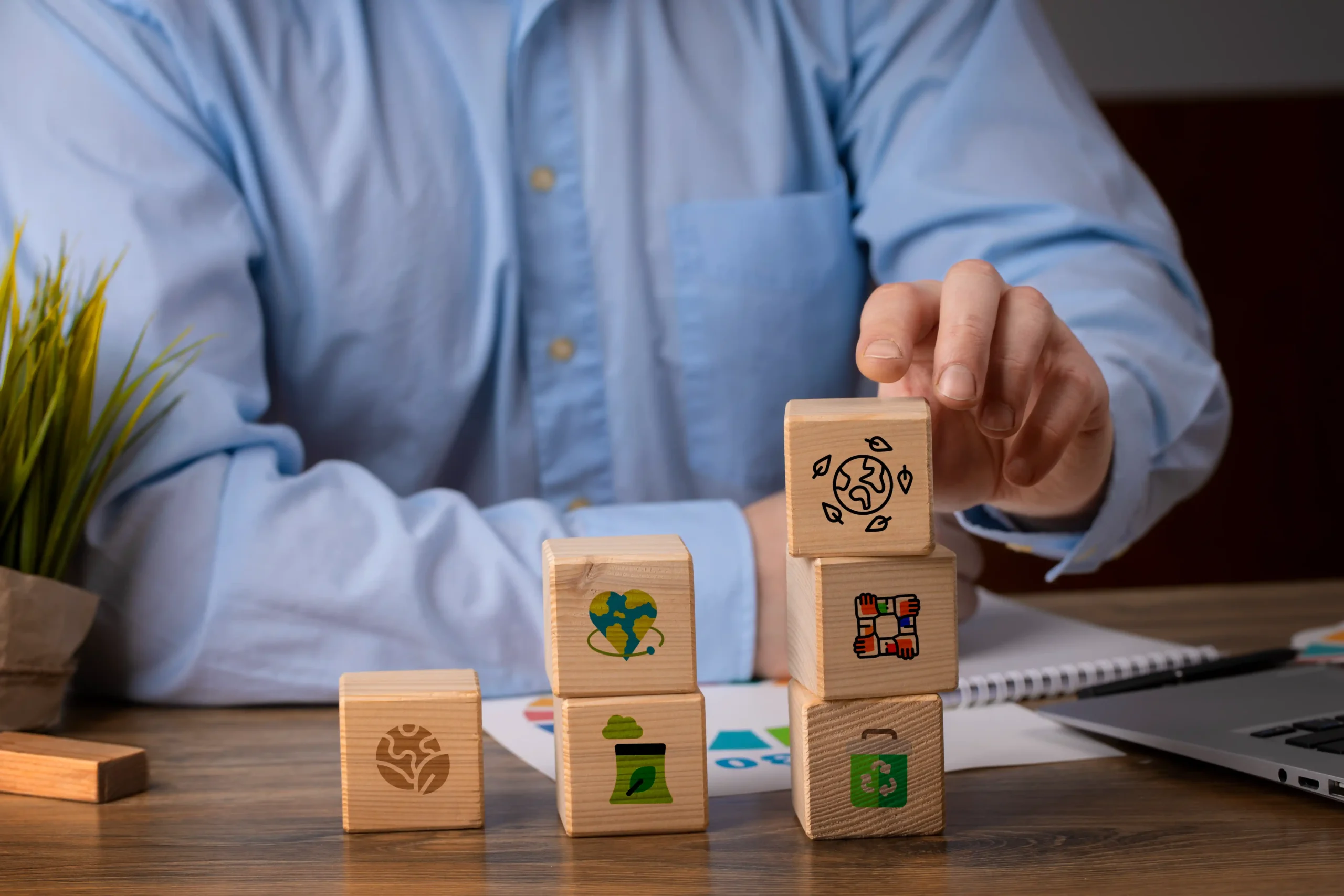 Sustainable Growth Strategy